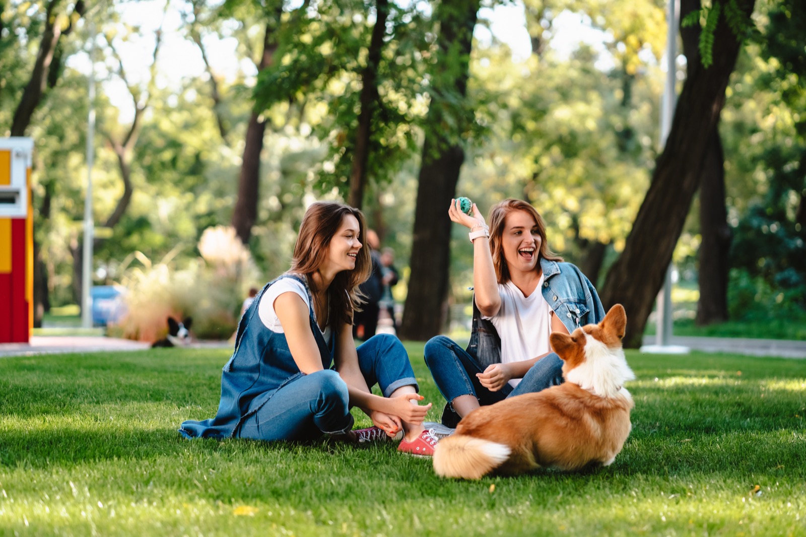 Two friends sitting on the grass in a park, laughing together next to a corgi.
