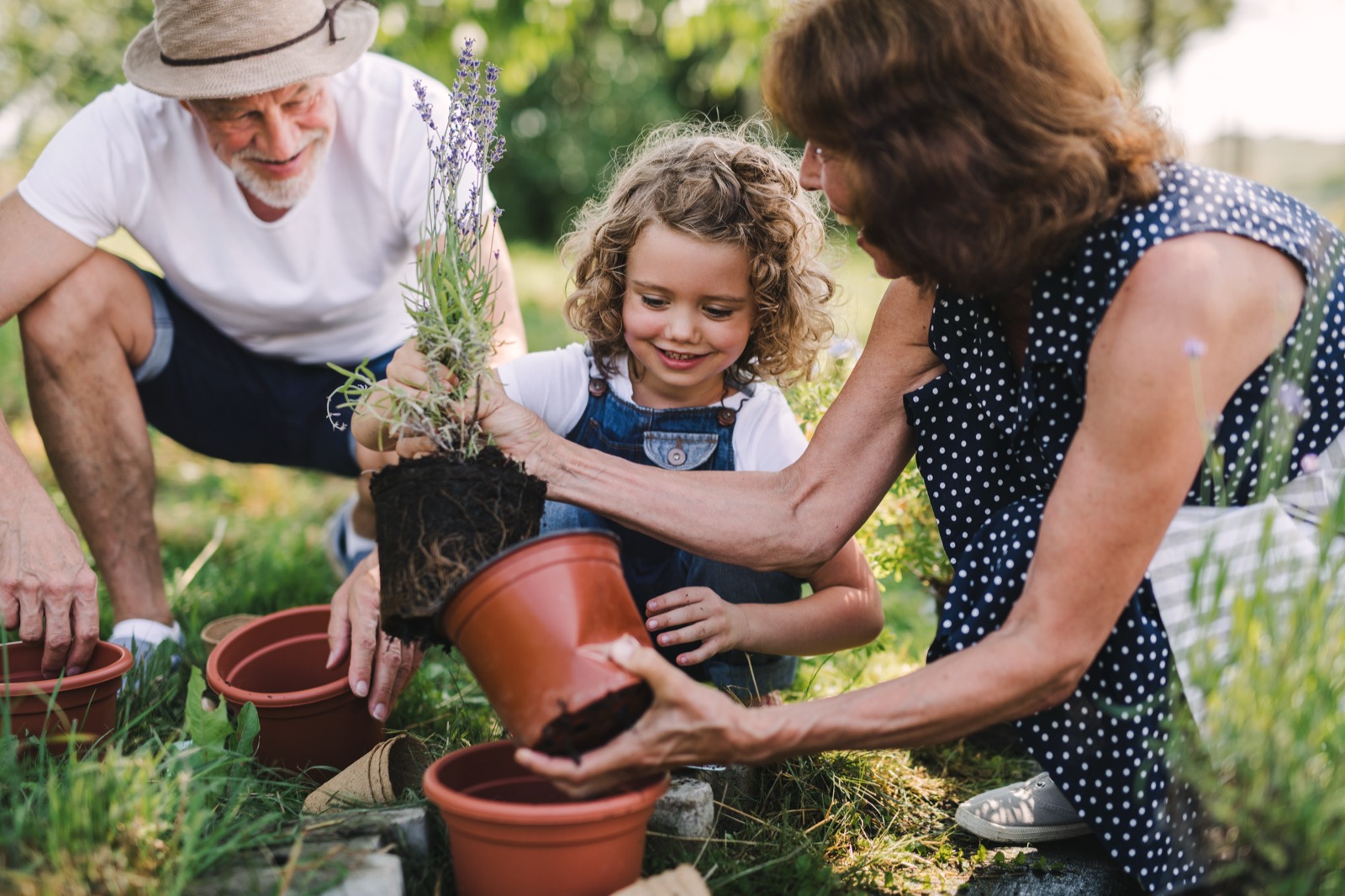 Grandparents planting flowers in a garden with their young grandchild on a sunny day.